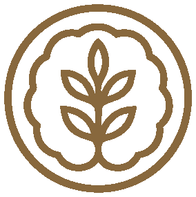 Logo Mygraine gestion du stress et migraine Paris 17 — version or vert